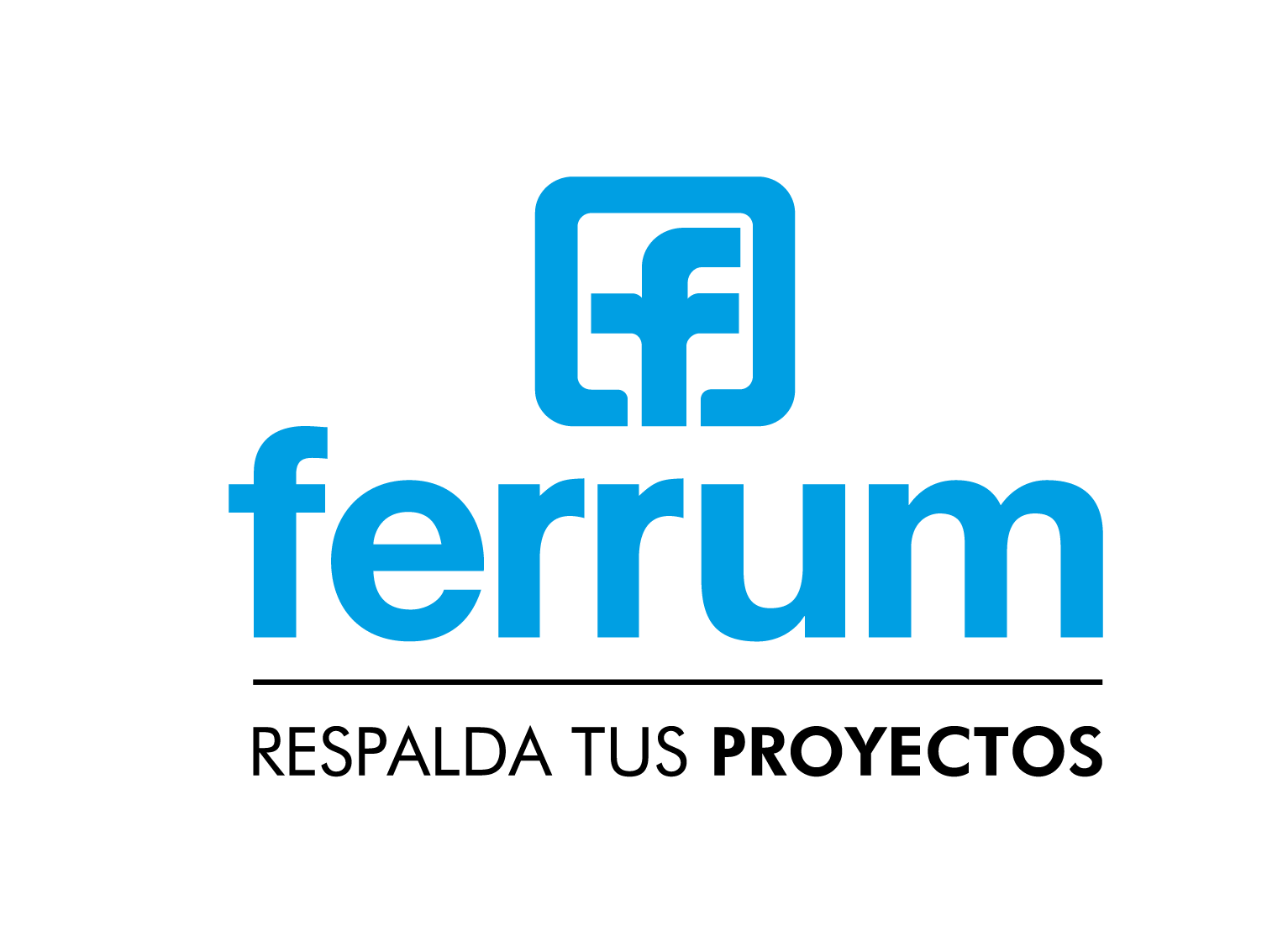 Logo Ferrum - Sin fondo (11) (2)